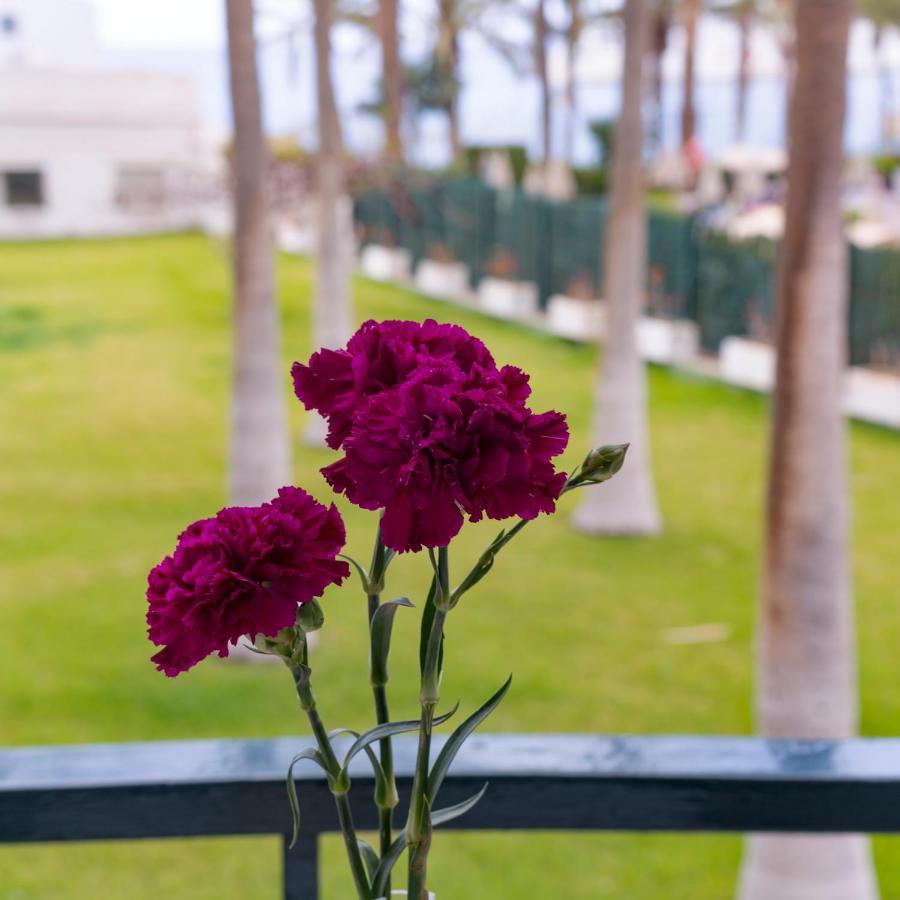 Studio Ocean Coast Los Cristianos Comodoro Exterior photo
